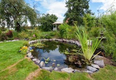 een-visvijver-in-de-tuin.jpg