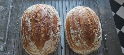IMG_20220109_100808.jpg
