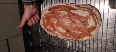 IMG_20220112_190931.jpg