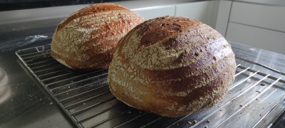 IMG_20220126_104335.jpg