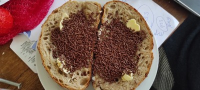IMG_20220126_110427.jpg
