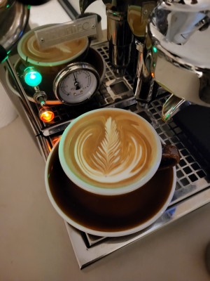 20221118_072819.jpg