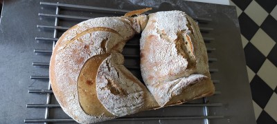 IMG_20230108_162016.jpg
