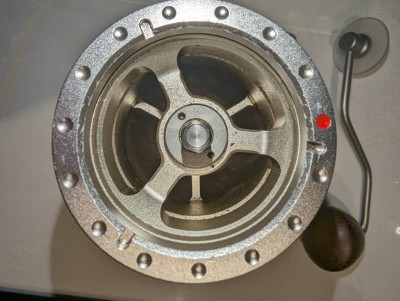PXL_20240304_184101832.jpg