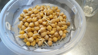 IMG_20260502_091227.jpg
