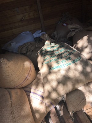 IMG-20170804-WA0006.jpg