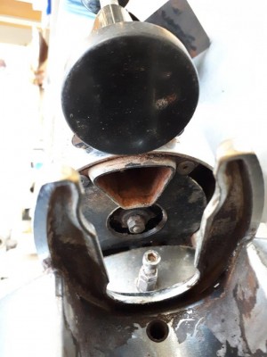 20180316_105013.jpg