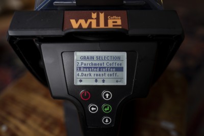 wile200small-14-L1050143-190609.jpg