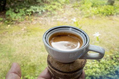 harfsen-coffee-1000--04-L1050187-190805.jpg