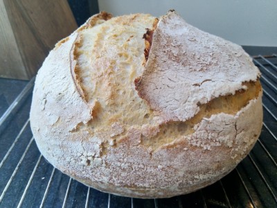 IMG_20191031_145238 (1).jpg