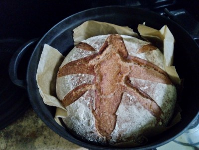 IMG_20191201_150158 (1).jpg