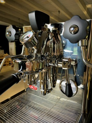 Bianca_Black (2).jpeg