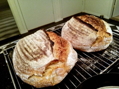 IMG_20200630_215952 (1).jpg